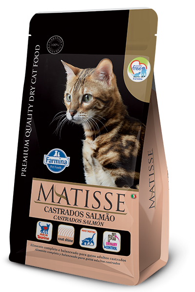 Imagen de  MATISSE Castrados Salmao 2kg