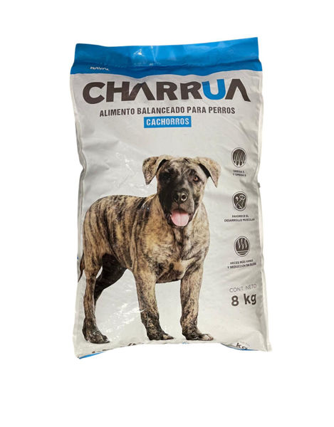 Imagen de  Charrua Cachorro 8 kg