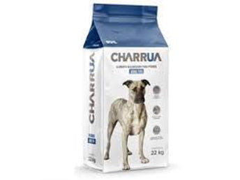 Imagen de Charrua Adulto 22 kg