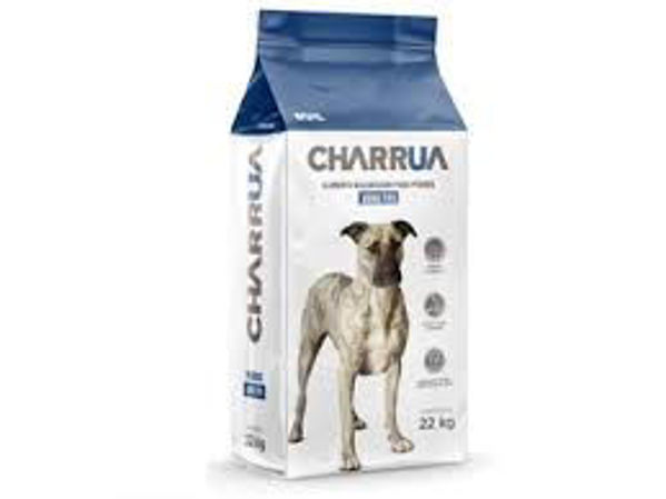 Imagen de  Charrua Adulto 22 kg