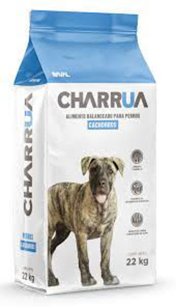Imagen de Charrua Cachorro 22 kg