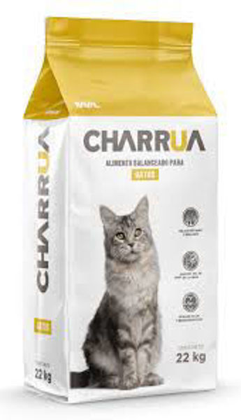 Imagen de  Charrua Gato 22 kg