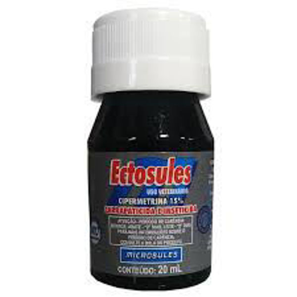 Imagen de ectosules