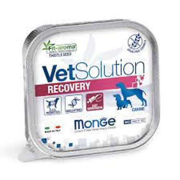 Imagen de  Monge Paté Gato Recovery 100g
