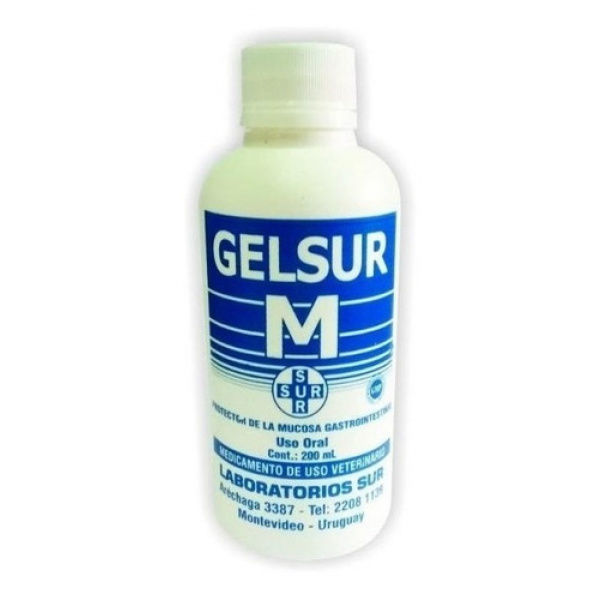 Imagen de Gelsur M 200ml