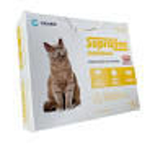 Imagen de Supraline comprimido gato
