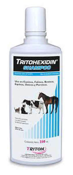 Imagen de shampoo tritohexidin